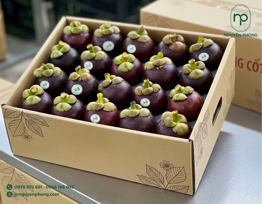 Mẫu thùng carton đựng măng cụt đơn giản